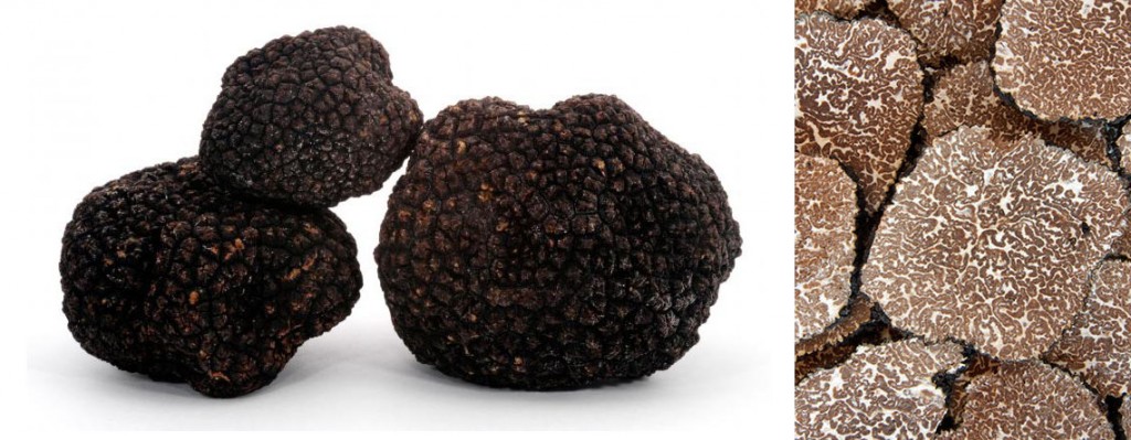 export-import-fresh-truffle